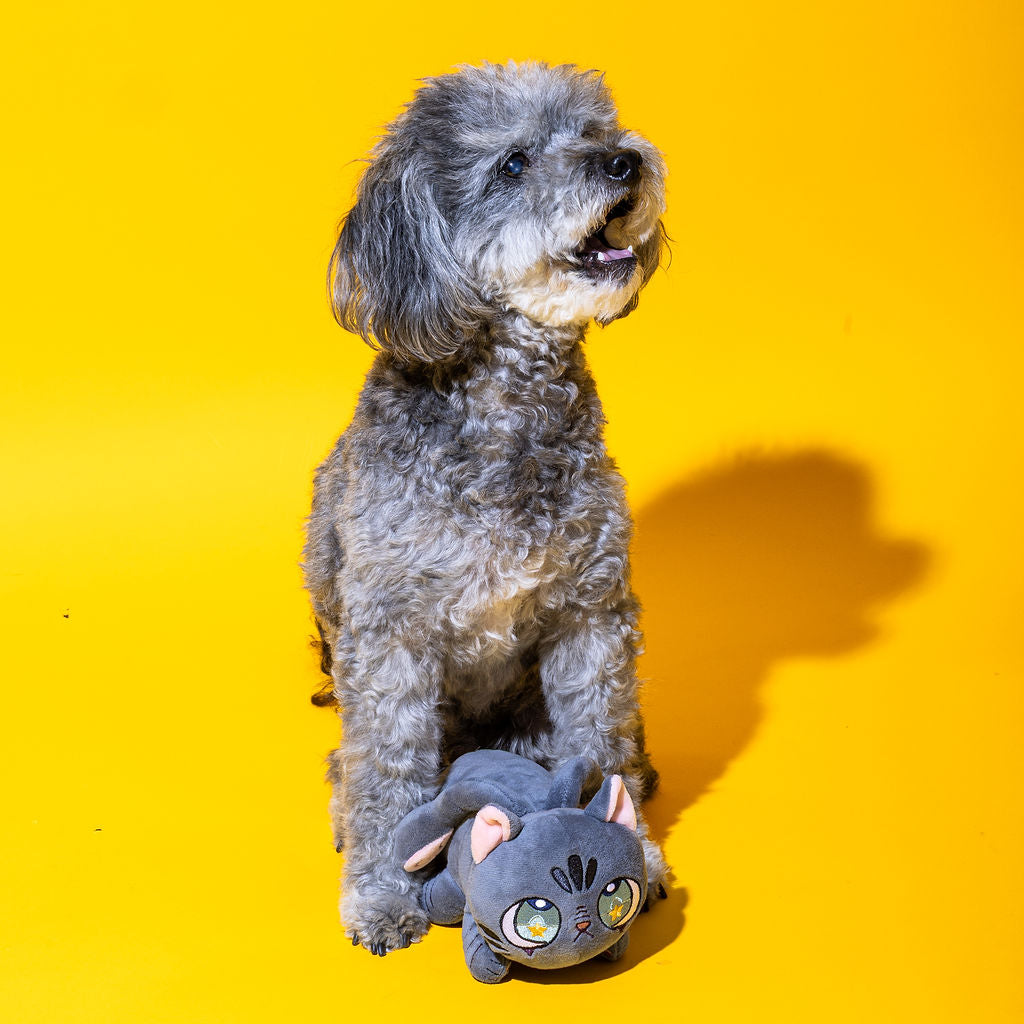 Black Tentacle Kitten Dog Toy