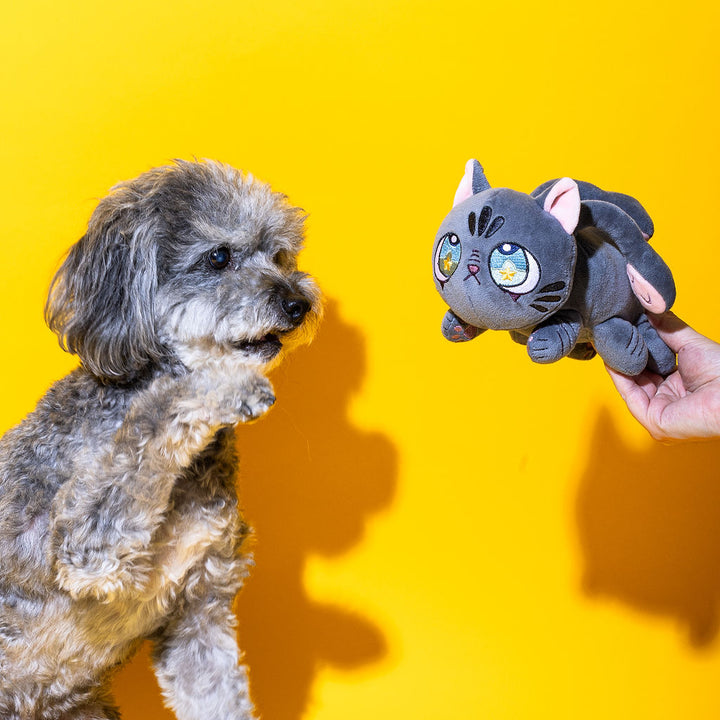 Black Tentacle Kitten Dog Toy