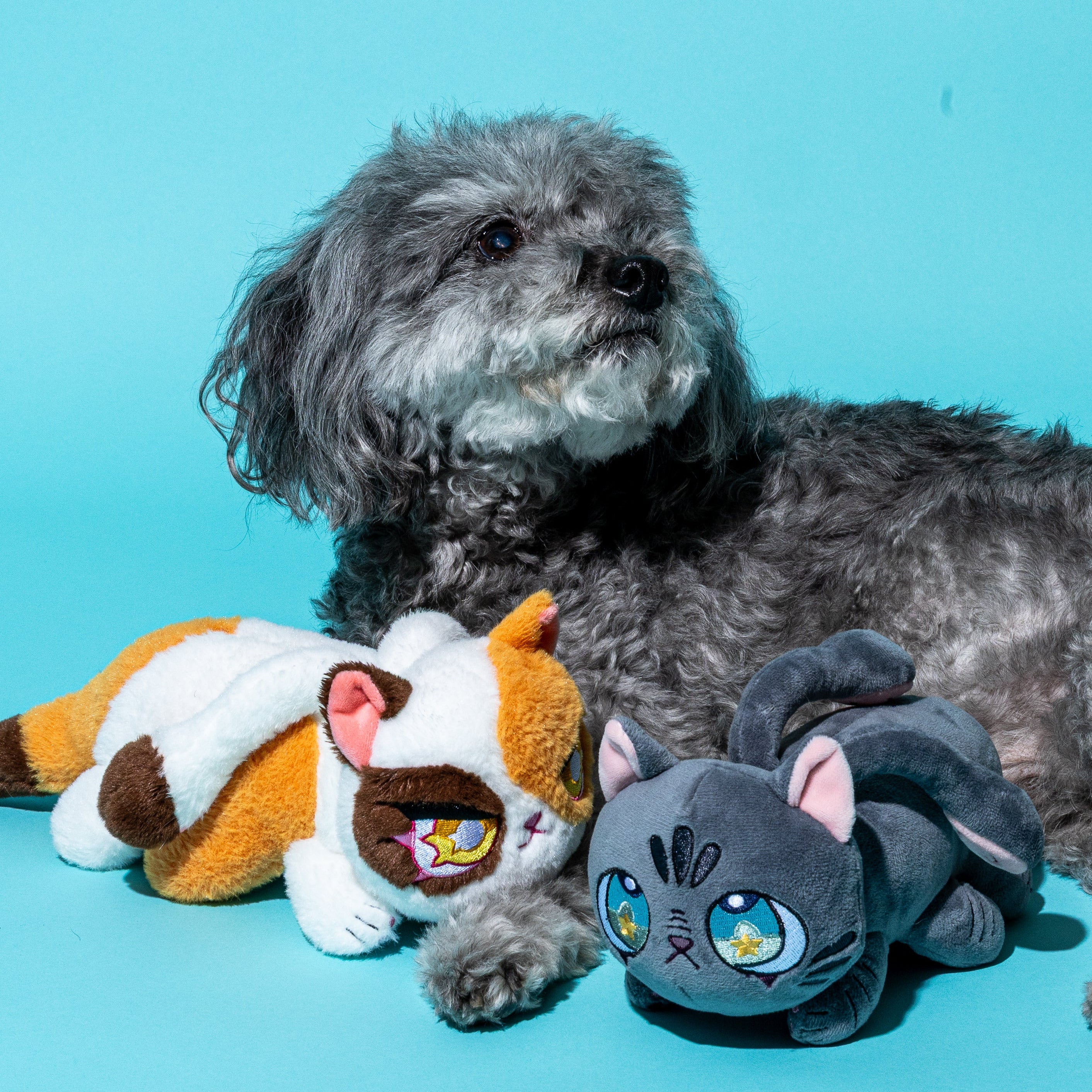 Calico Tentacle Kitten Dog Toy