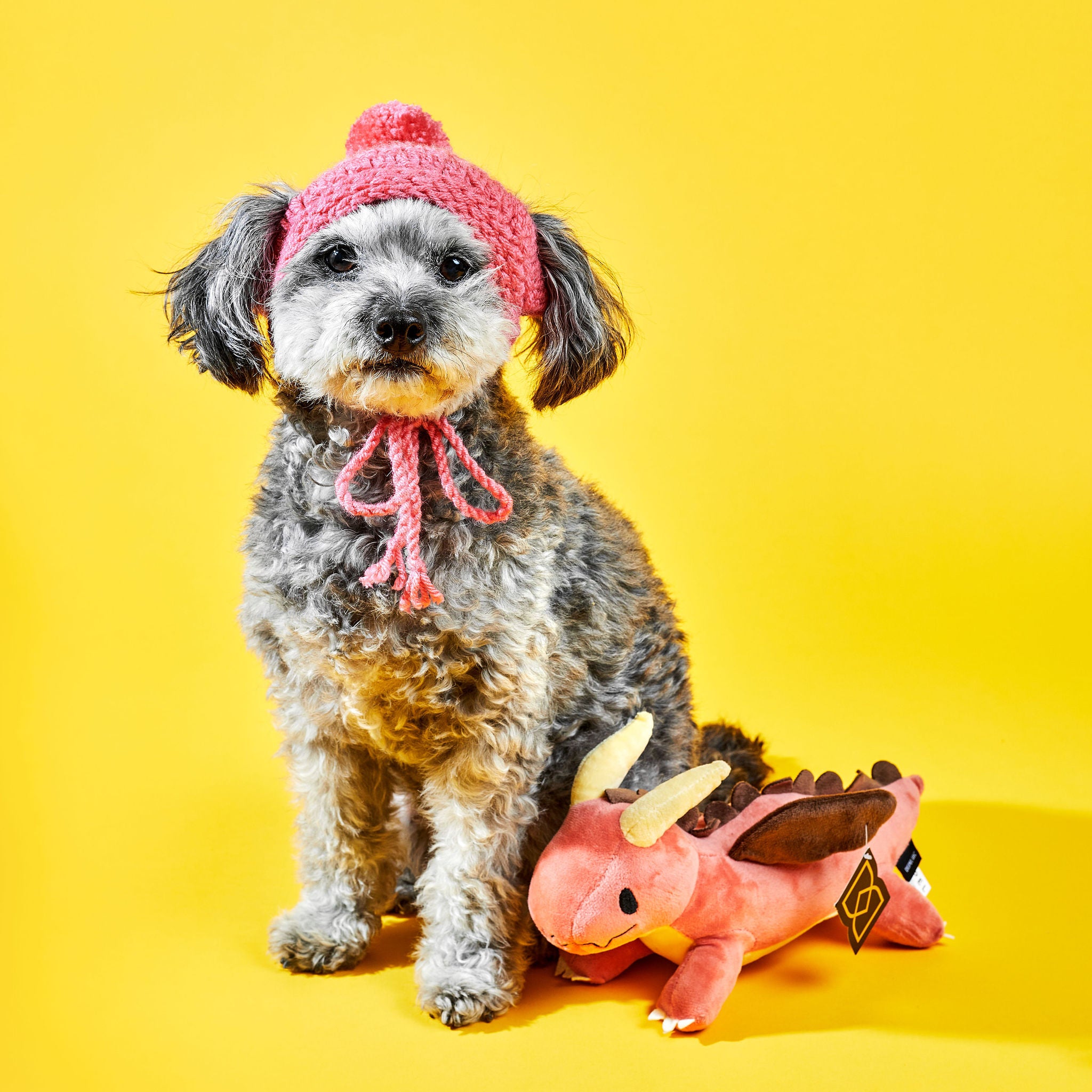 Red Dragon Plush Dog Toy with Squeaker